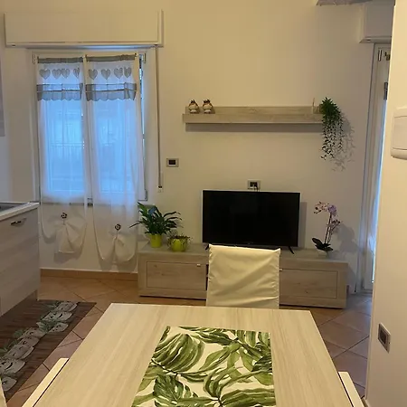 Apartman Palmibayhome