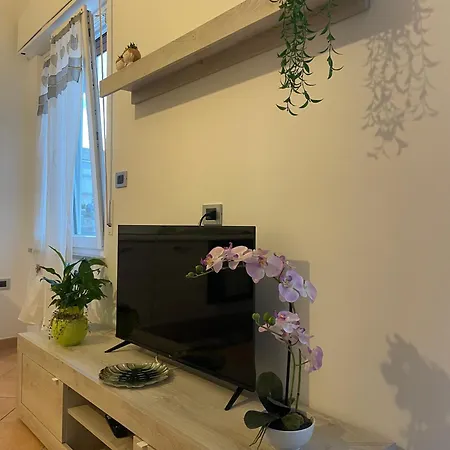 Apartment Palmibayhome *