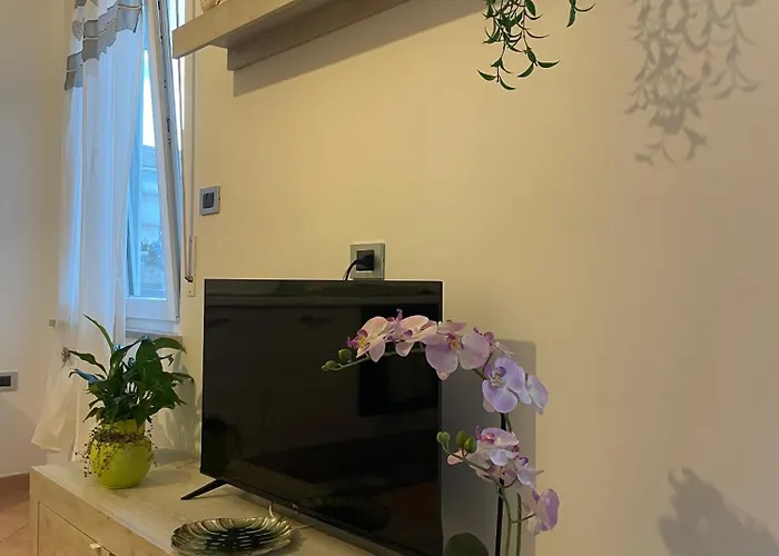 Appartamento Palmibayhome *